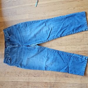 GV Gloria Vanderbilt Amanda jeans 14 Short